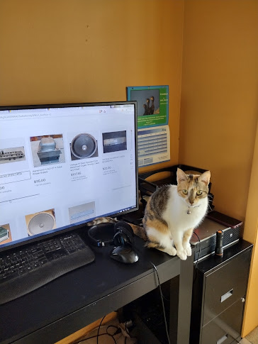 My assistant picks speakers